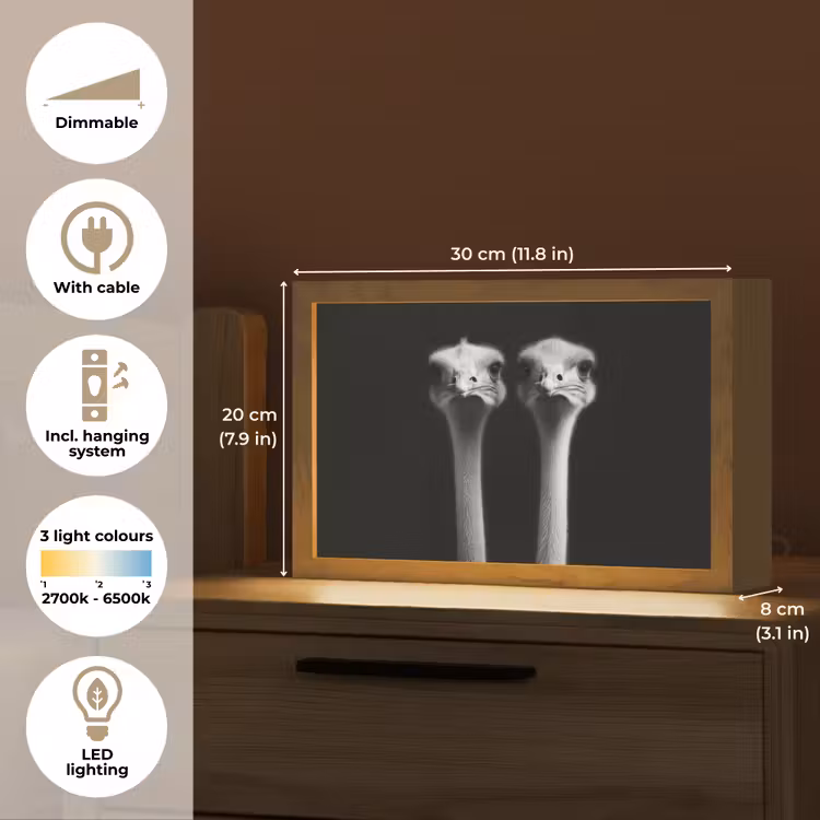 Struisvogels - Halzen - Zwart - Minimalistisch Light Box met kabel (Tafellamp) klein -USP_EN