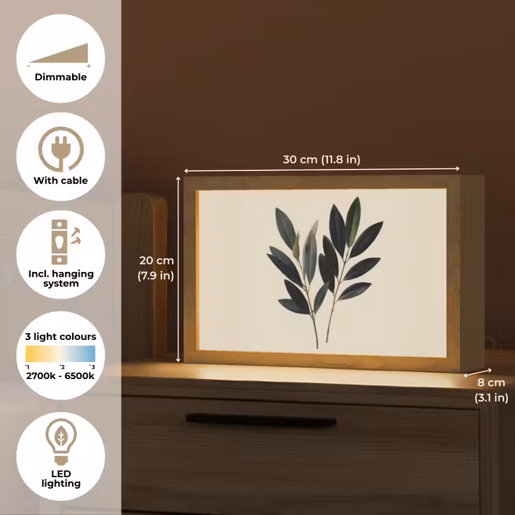 Ovaalvormige bladeren - Diep groen - Symmetrisch Light Box met kabel (Tafellamp) klein -USP_EN