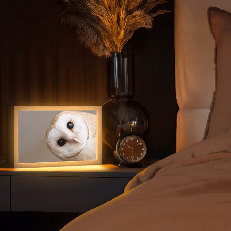 Uil - Bruin - Wit Light Box met kabel (Tafellamp) klein -sfeer1