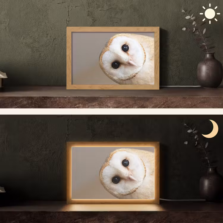 Uil - Bruin - Wit Light Box met kabel (Tafellamp) klein -sfeer3