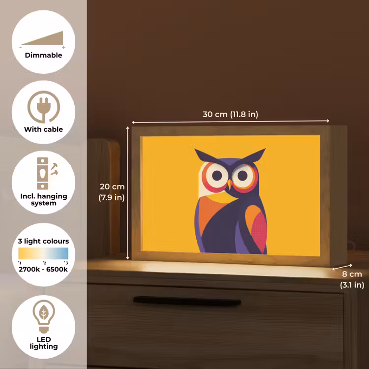 Uil - Grafisch - Kleurrijk - Ogen Light Box met kabel (Tafellamp) klein -USP_EN