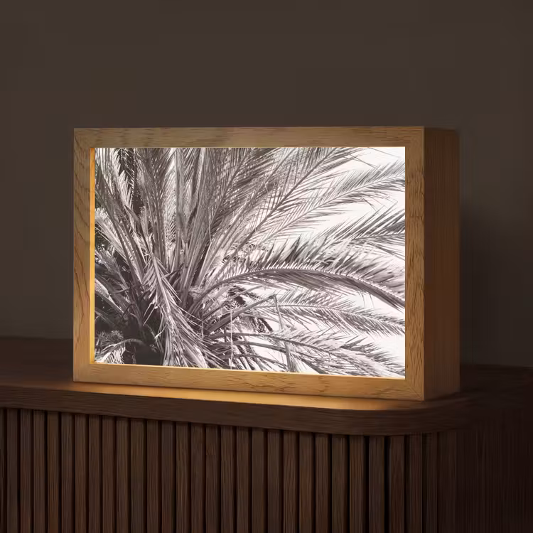 Palmboom - Tropisch - Zwart - Wit Light Box met kabel (Tafellamp) klein -z3d_website