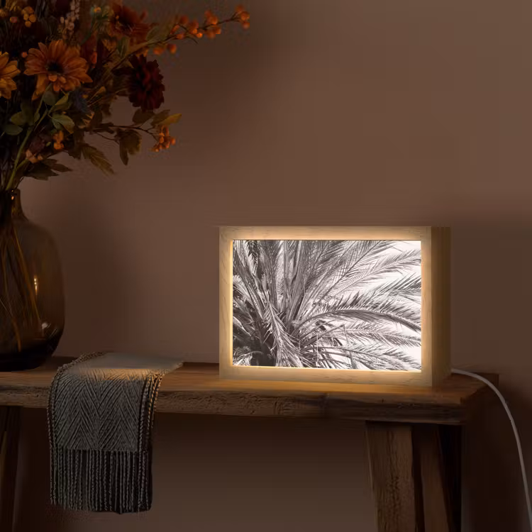 Palmboom - Tropisch - Zwart - Wit Light Box met kabel (Tafellamp) klein -sfeer4