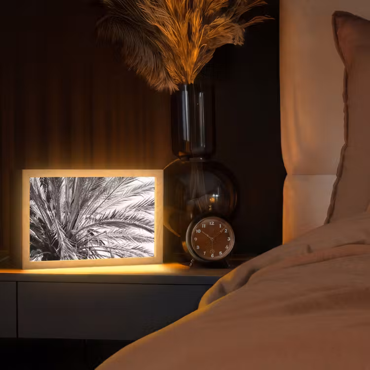 Palmboom - Tropisch - Zwart - Wit Light Box met kabel (Tafellamp) klein -sfeer1