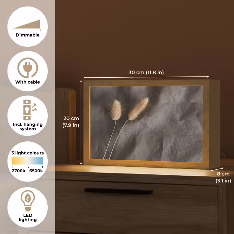 Pampasgras - Pluim - Zwart - Beige Light Box met kabel (Tafellamp) klein -USP_EN