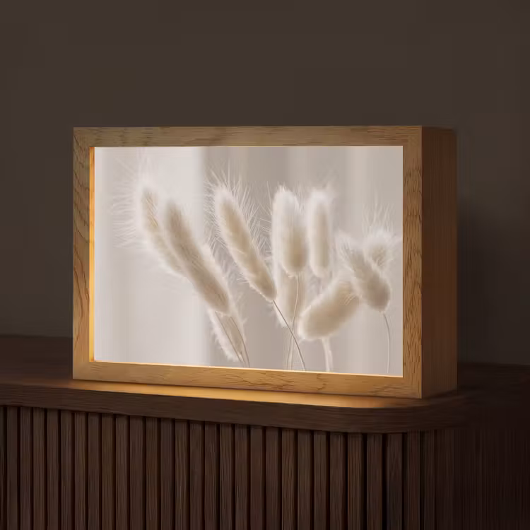 Pampasgras - Pluim - Wit Light Box met kabel (Tafellamp) klein -z3d_website
