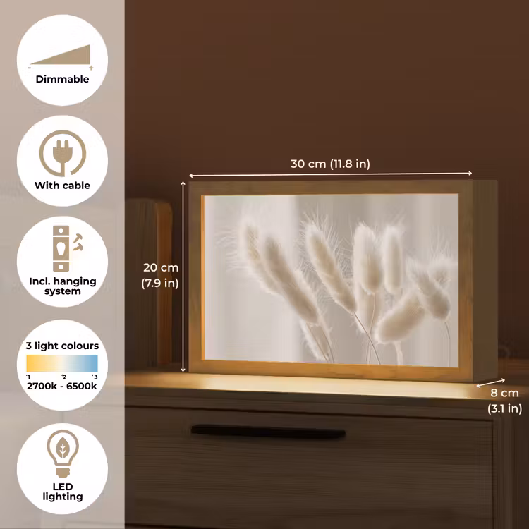 Pampasgras - Pluim - Wit Light Box met kabel (Tafellamp) klein -USP_EN