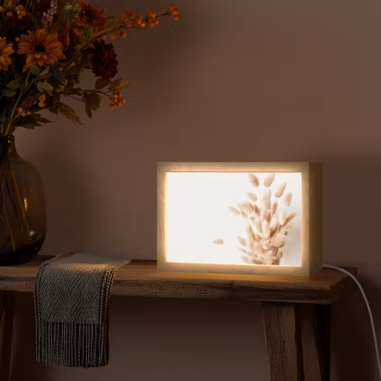 Pampasgras - Pluim - Wit - Beige Light Box met kabel (Tafellamp) klein -sfeer4