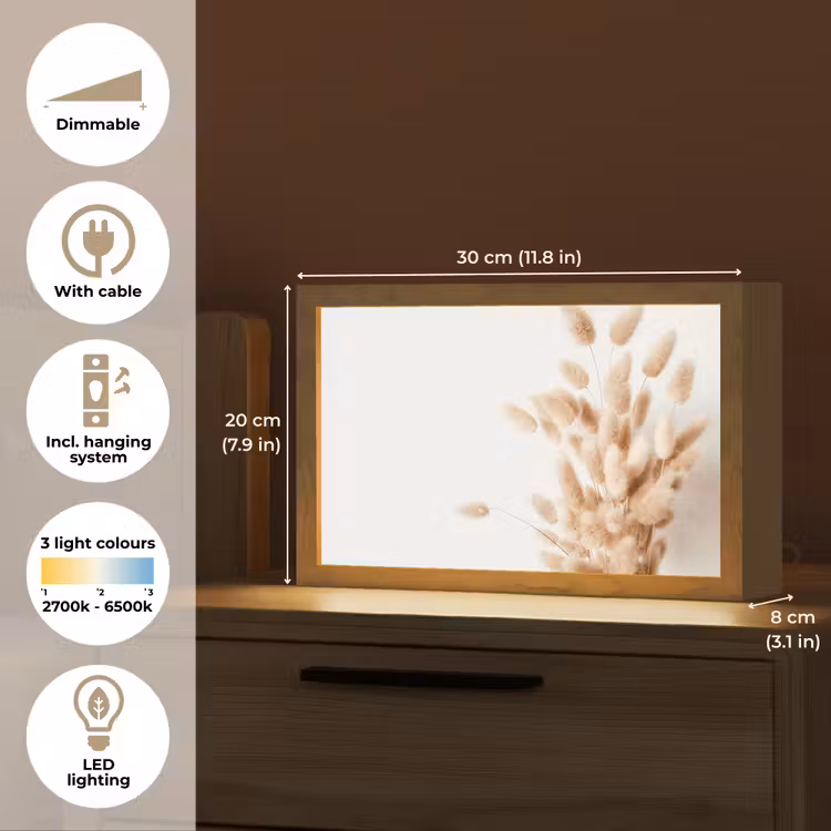 Pampasgras - Pluim - Wit - Beige Light Box met kabel (Tafellamp) klein -USP_EN
