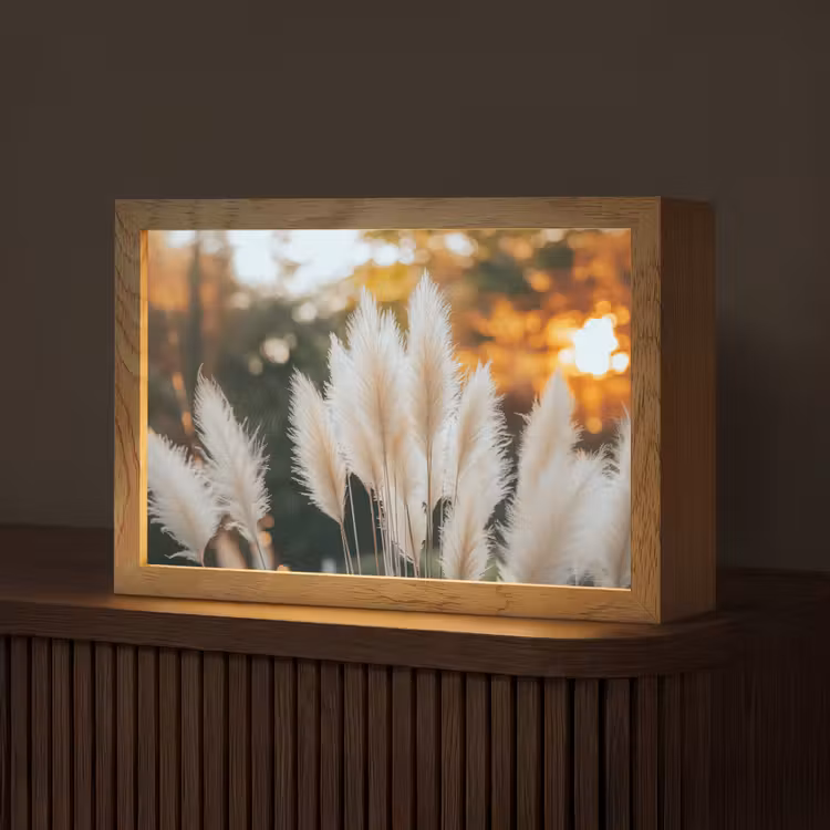 Pampasgras - Pluimen - Sierlijk Light Box met kabel (Tafellamp) klein -z3d_website