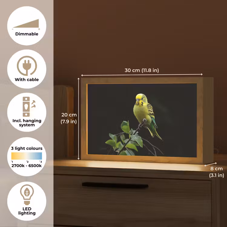 Parkiet - Tak - Bladeren - Geel Light Box met kabel (Tafellamp) klein -USP_EN