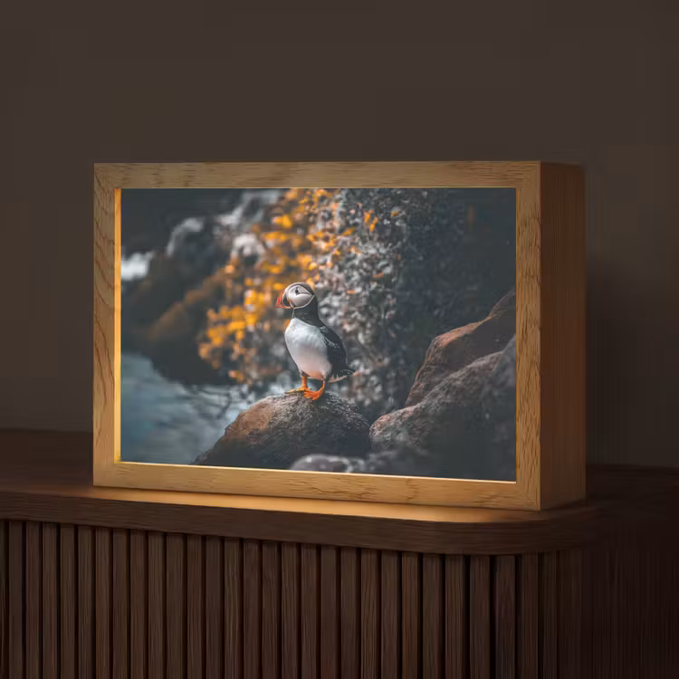 Papegaai - Vogel - Rots - Wit Light Box met kabel (Tafellamp) klein -z3d_website