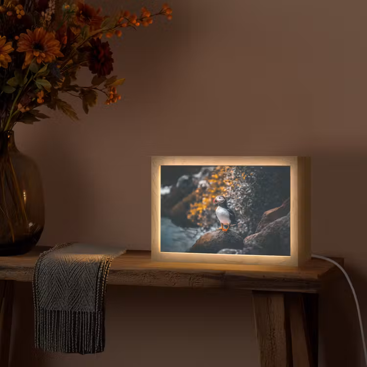 Papegaai - Vogel - Rots - Wit Light Box met kabel (Tafellamp) klein -sfeer4