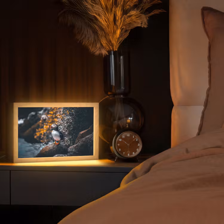 Papegaai - Vogel - Rots - Wit Light Box met kabel (Tafellamp) klein -sfeer1
