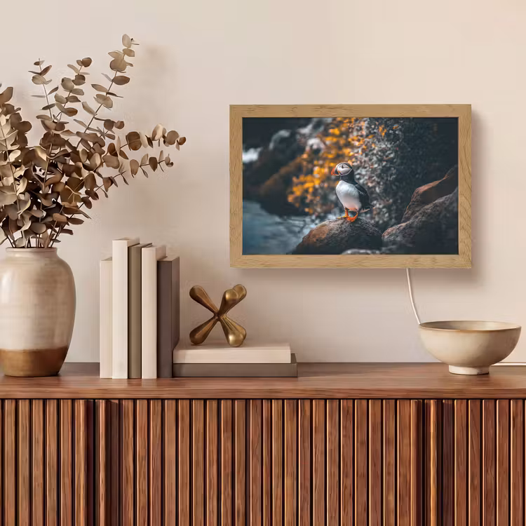Papegaai - Vogel - Rots - Wit Light Box met kabel (Tafellamp) klein -sfeer2