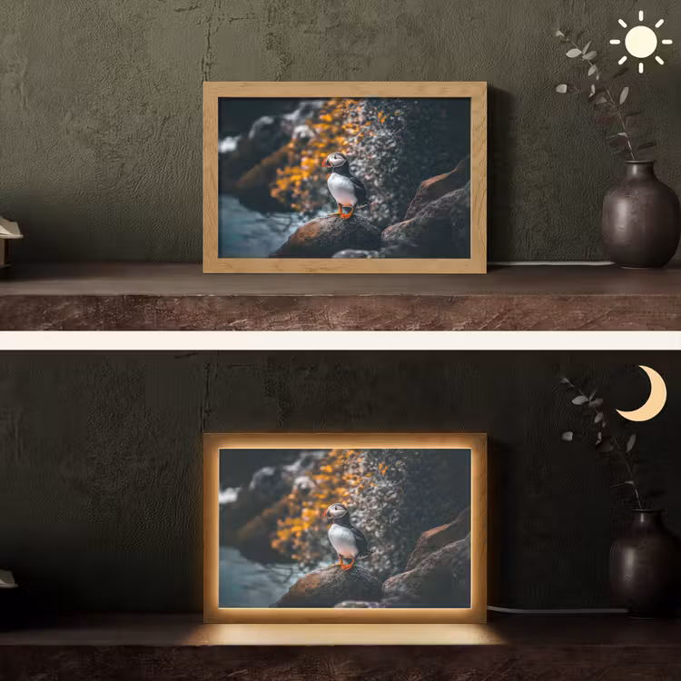 Papegaai - Vogel - Rots - Wit Light Box met kabel (Tafellamp) klein -sfeer3