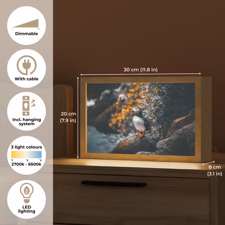 Papegaai - Vogel - Rots - Wit Light Box met kabel (Tafellamp) klein -USP_EN
