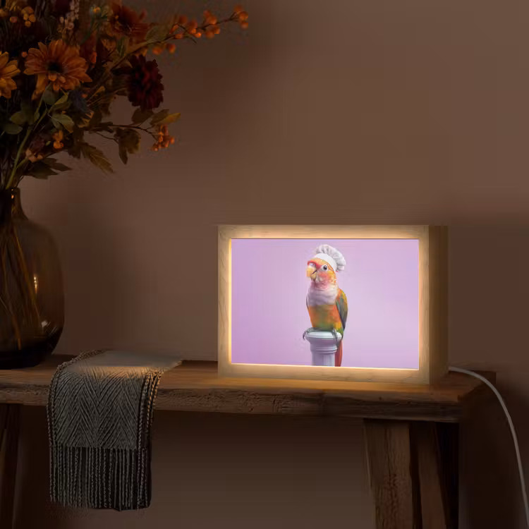Papegaai - Koksmuts - Pilaar - Vogel Light Box met kabel (Tafellamp) klein -sfeer4
