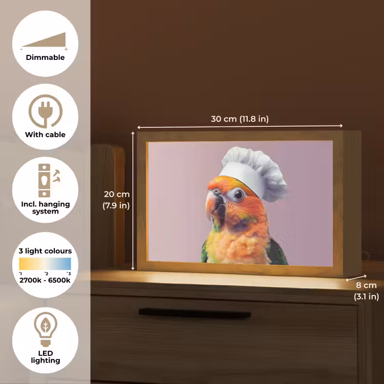 Papegaai - Koksmuts - Nieuwsgierig - Vogel Light Box met kabel (Tafellamp) klein -USP_EN