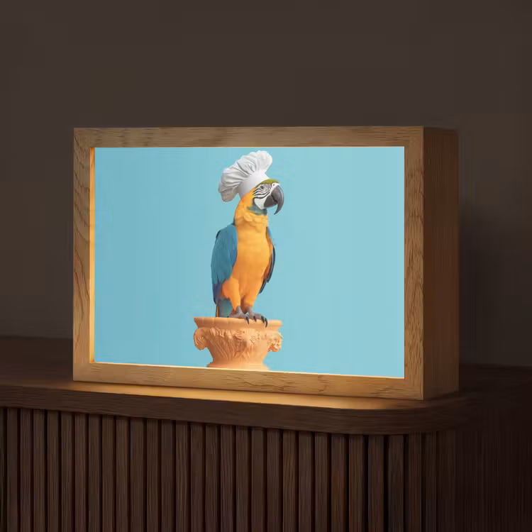 Papegaai - Koksmuts - Grappig - Vogel Light Box met kabel (Tafellamp) klein -z3d_website