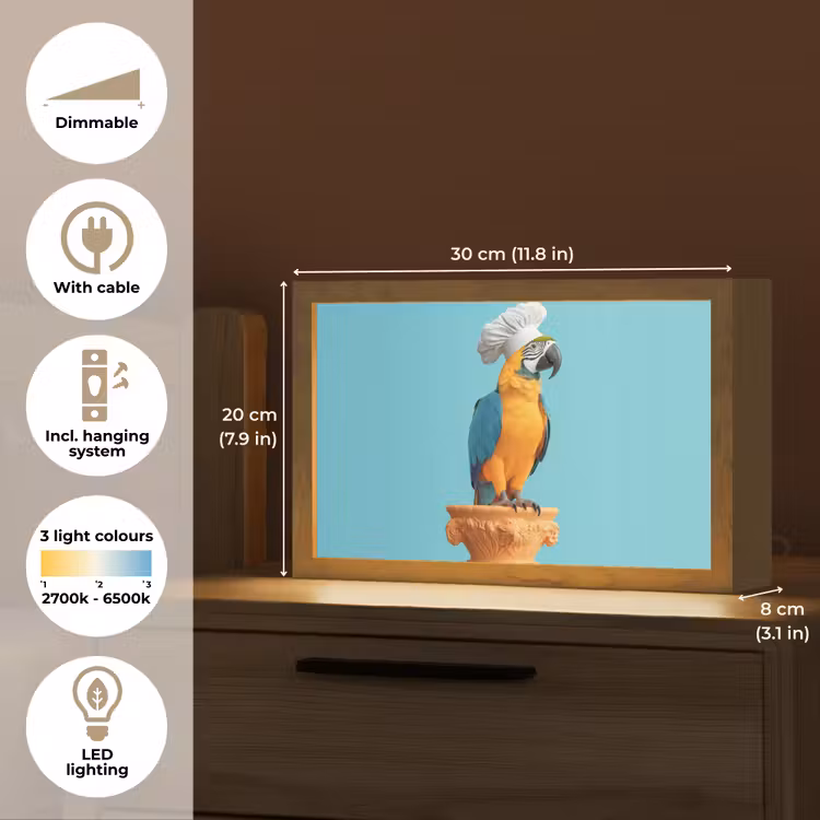 Papegaai - Koksmuts - Grappig - Vogel Light Box met kabel (Tafellamp) klein -USP_EN