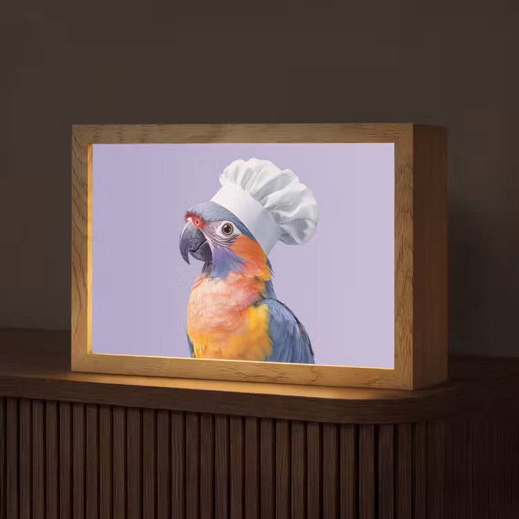 Papegaai - Koksmuts - Paars - Cute Light Box met kabel (Tafellamp) klein -z3d_website