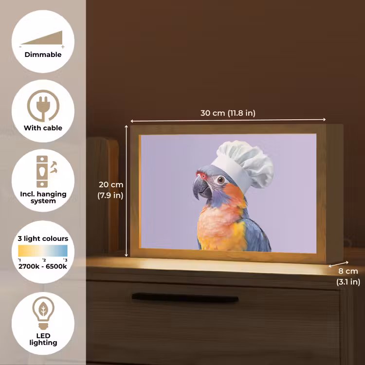 Papegaai - Koksmuts - Paars - Cute Light Box met kabel (Tafellamp) klein -USP_EN