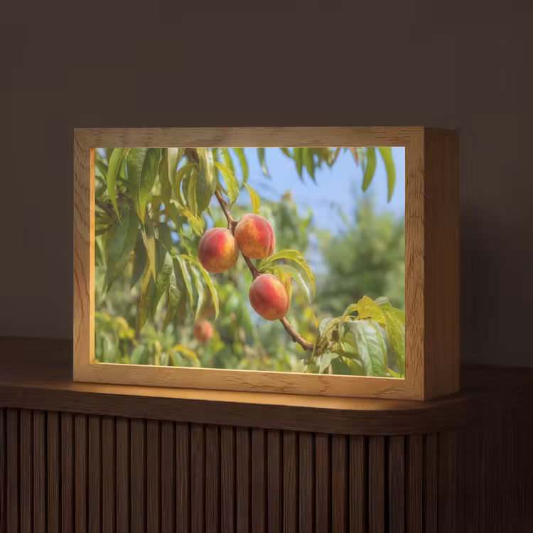 Perzik - Bladeren - Zonlicht Light Box met kabel (Tafellamp) klein -z3d_website