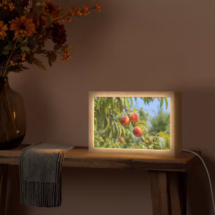Perzik - Bladeren - Zonlicht Light Box met kabel (Tafellamp) klein -sfeer4