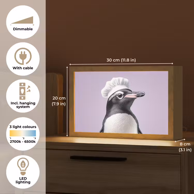 Pinguïn - Koksmuts - Lief - Paars Light Box met kabel (Tafellamp) klein -USP_EN