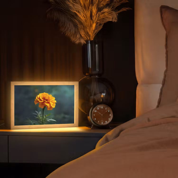 Bloemblaadjes - Afrikaan - Oranje - Wazig Light Box met kabel (Tafellamp) klein -sfeer1