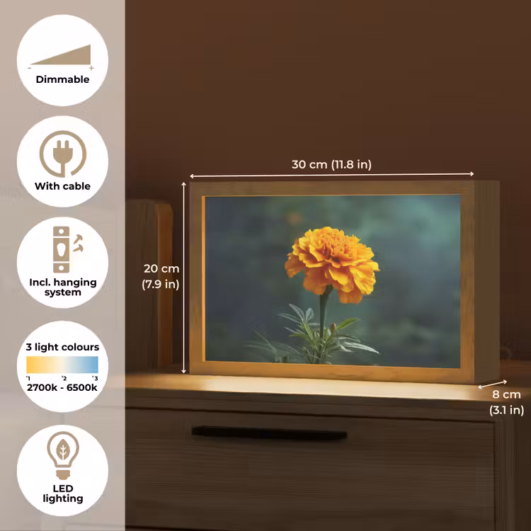 Bloemblaadjes - Afrikaan - Oranje - Wazig Light Box met kabel (Tafellamp) klein -USP_EN
