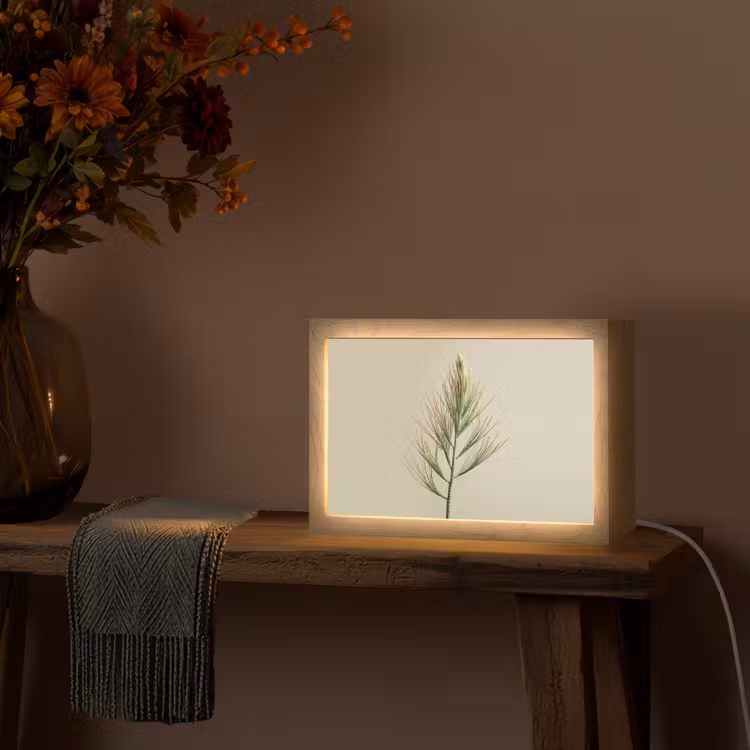 Dennentak - Naaldvormige bladeren - Lichtgroen Light Box met kabel (Tafellamp) klein -sfeer4
