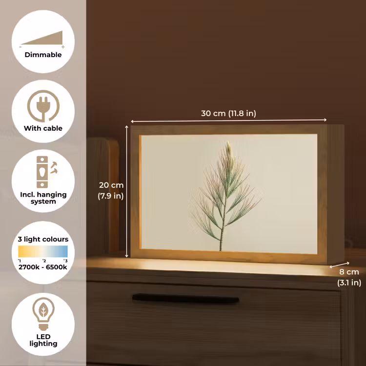 Dennentak - Naaldvormige bladeren - Lichtgroen Light Box met kabel (Tafellamp) klein -USP_EN
