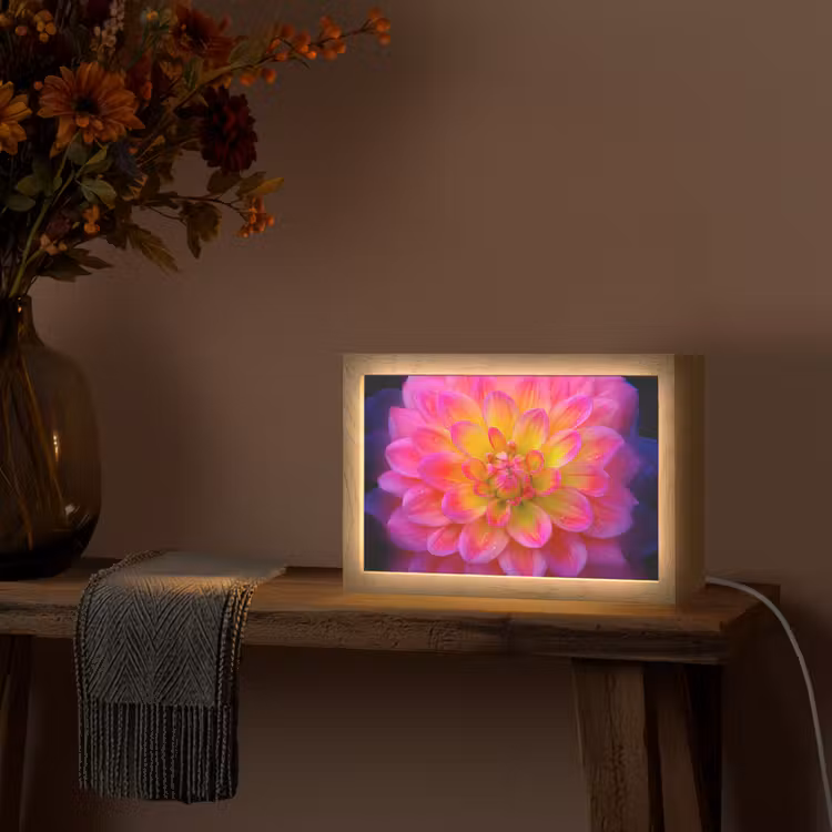 Roze - Dahlia - Kleurrijk Light Box met kabel (Tafellamp) klein -sfeer4