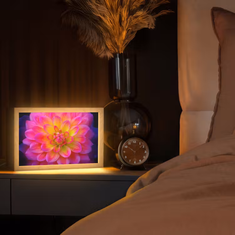 Roze - Dahlia - Kleurrijk Light Box met kabel (Tafellamp) klein -sfeer1