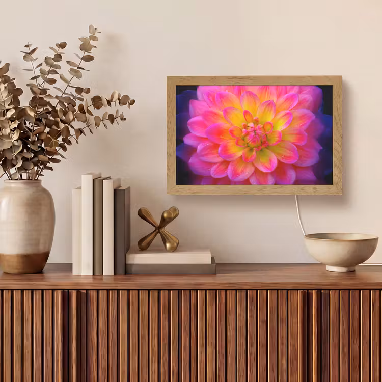 Roze - Dahlia - Kleurrijk Light Box met kabel (Tafellamp) klein -sfeer2