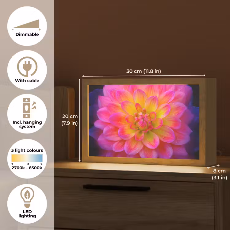 Roze - Dahlia - Kleurrijk Light Box met kabel (Tafellamp) klein -USP_EN
