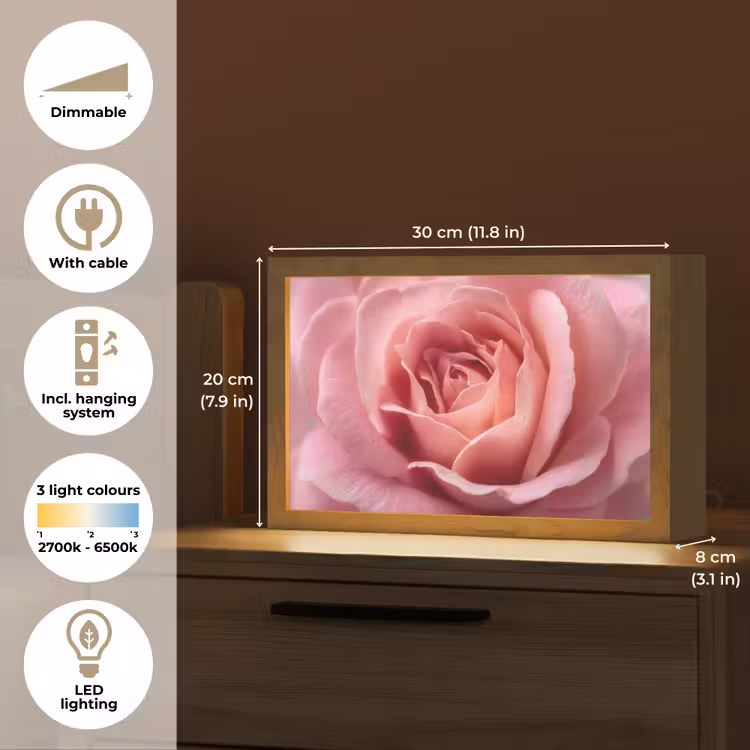 Roze - Roos - Romantisch Light Box met kabel (Tafellamp) klein -USP_EN