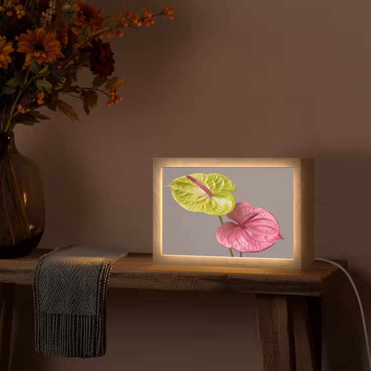 Planten - Anthurium - Groen - Roze Light Box met kabel (Tafellamp) klein -sfeer4