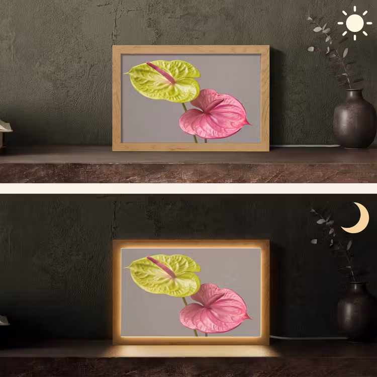 Planten - Anthurium - Groen - Roze Light Box met kabel (Tafellamp) klein -sfeer3