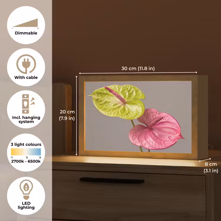Planten - Anthurium - Groen - Roze Light Box met kabel (Tafellamp) klein -USP_EN