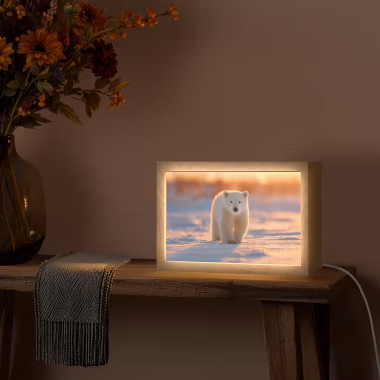 Ijsbeer - Sneeuw - Zonsopgang Light Box met kabel (Tafellamp) klein -sfeer4