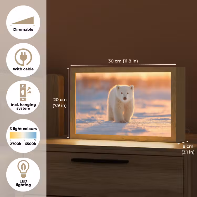 Ijsbeer - Sneeuw - Zonsopgang Light Box met kabel (Tafellamp) klein -USP_EN