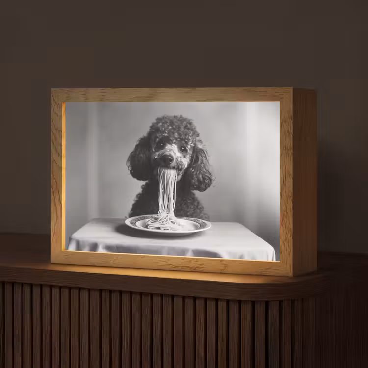 Poedel - Hond - Zwart - Wit - Schattig - Pasta Light Box met kabel (Tafellamp) klein -z3d_website