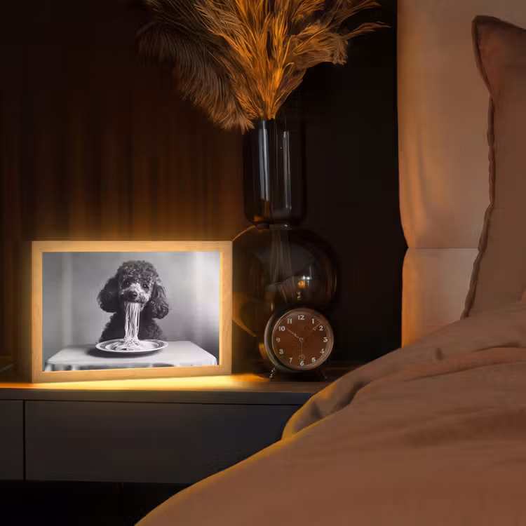 Poedel - Hond - Zwart - Wit - Schattig - Pasta Light Box met kabel (Tafellamp) klein -sfeer1
