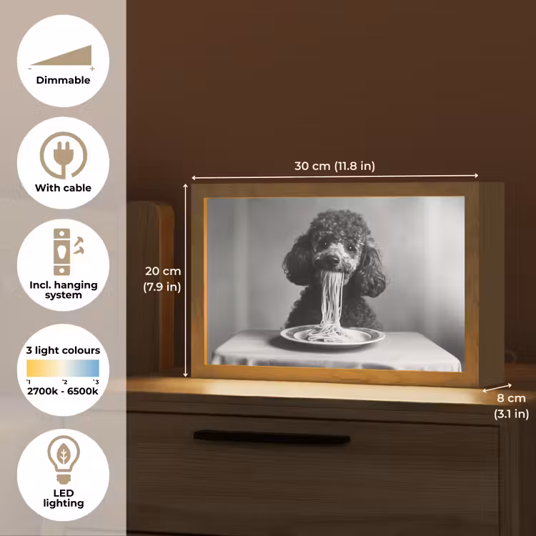 Poedel - Hond - Zwart - Wit - Schattig - Pasta Light Box met kabel (Tafellamp) klein -USP_EN