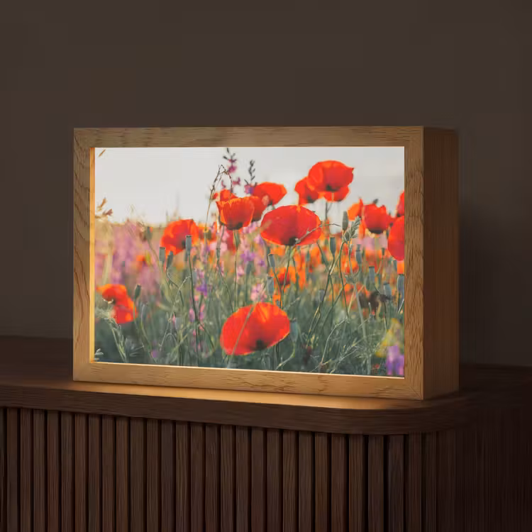 Klaproos - Bloemen - Rood - Paars - Weide Light Box met kabel (Tafellamp) klein -z3d_website