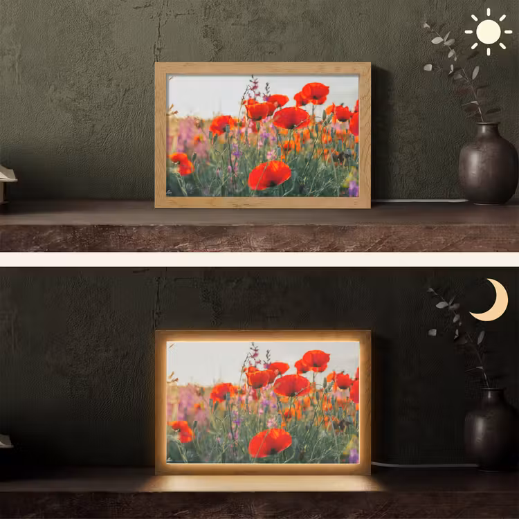 Klaproos - Bloemen - Rood - Paars - Weide Light Box met kabel (Tafellamp) klein -sfeer3