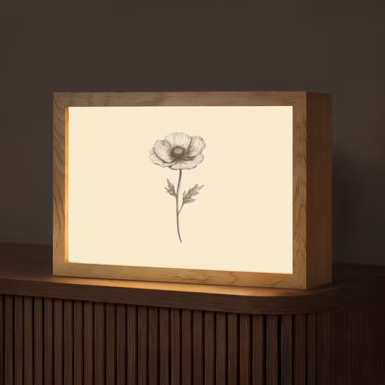 Klaproos - Illustratie - Zwart Light Box met kabel (Tafellamp) klein -z3d_website